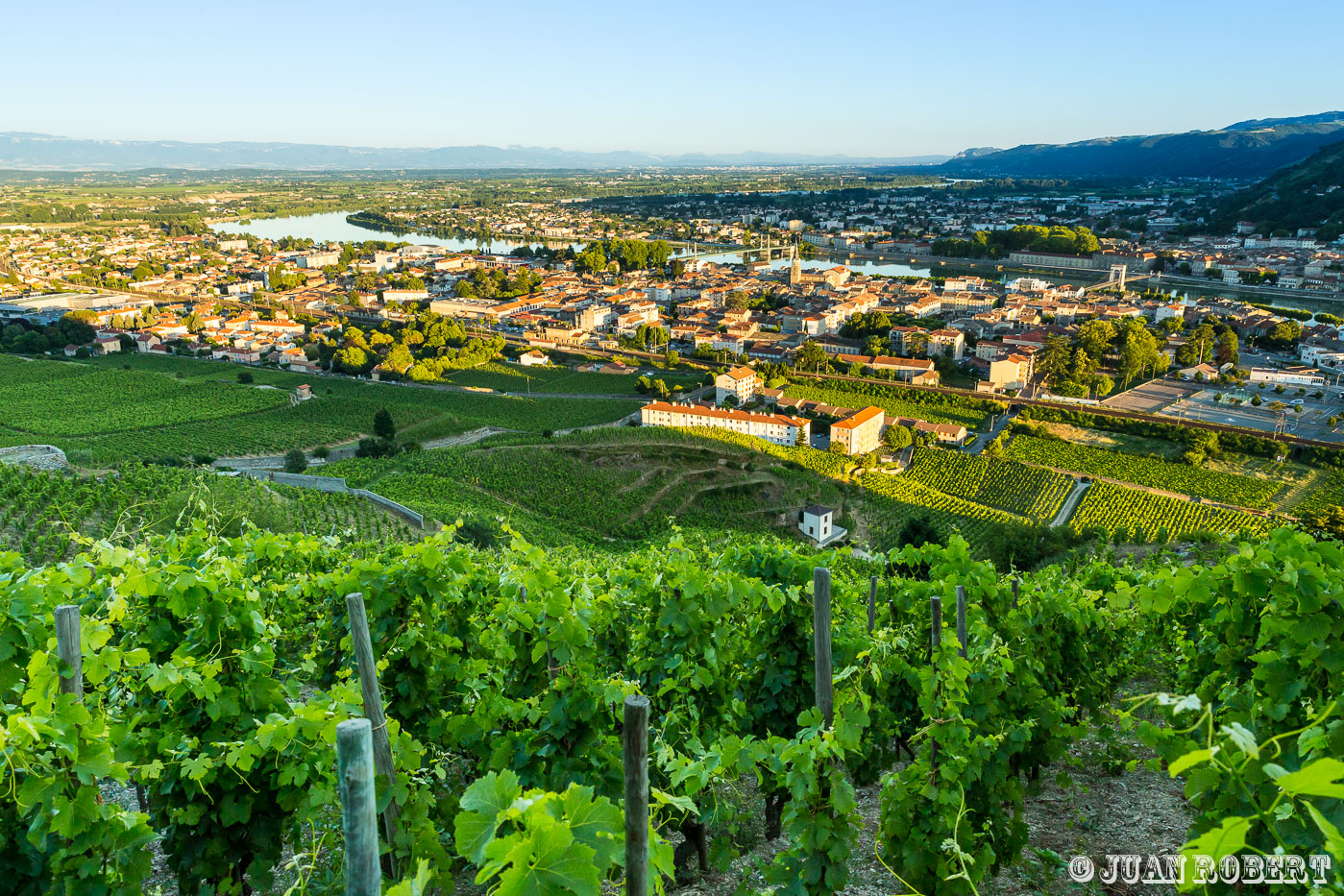 Auteur, Delas, Juan ROBERT, Photographe, Tain l'Hermitage, Vigne, coucher de soleil, nature, paysage, raisin, rhone, vignoble, viticoleTain l'hermitageDrôme - Rhône-AlpesMaison Delas : parcelles de vignes de Tain l'hermitage