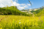 montagnes du Vercors par Juan Robert