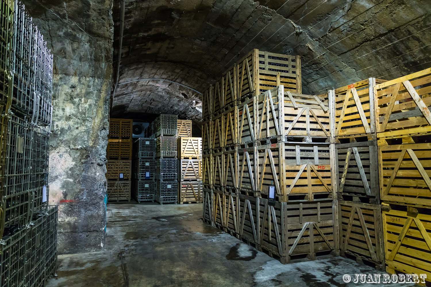 Auteur, Juan ROBERT, Photographe, Syndicat de la clairette de Die, Vercheny, Vigne, agricole, champs, clairette, ouvriers, paysage, raisin, tracteur, vendangeVerchenyDrôme - Rhône-AlpesMaison de la clairette : vendanges et cave